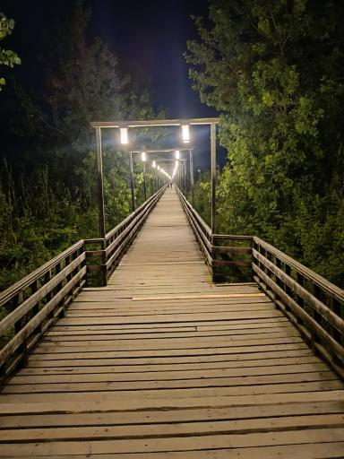 عکس پل چوبی کیاشهر