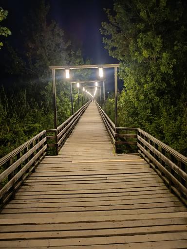 عکس پل چوبی کیاشهر