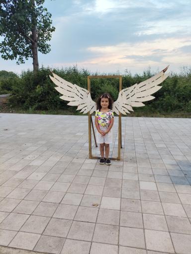 عکس پل چوبی کیاشهر