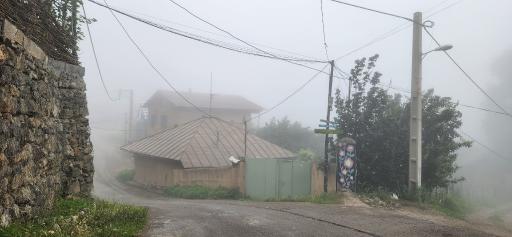عکس شانه تراش
