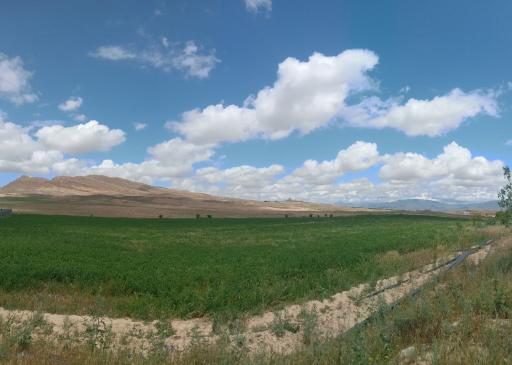 عکس کوهستان پارک شیرکوه