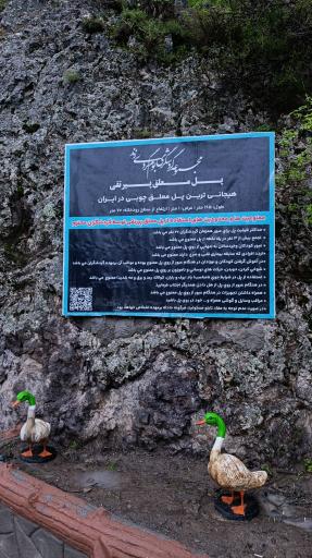 عکس پل معلق پیرتقی