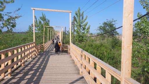 عکس پل چوبی کیاشهر