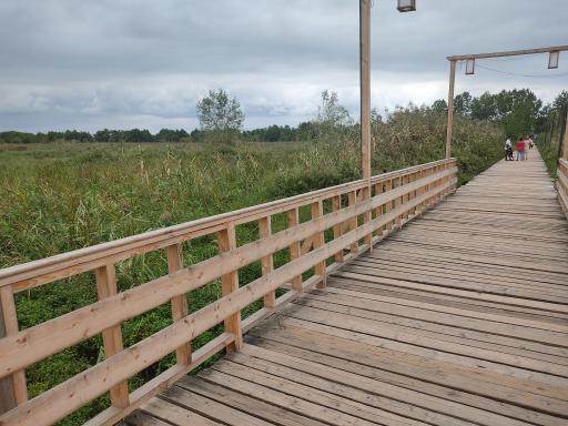 عکس پل چوبی کیاشهر