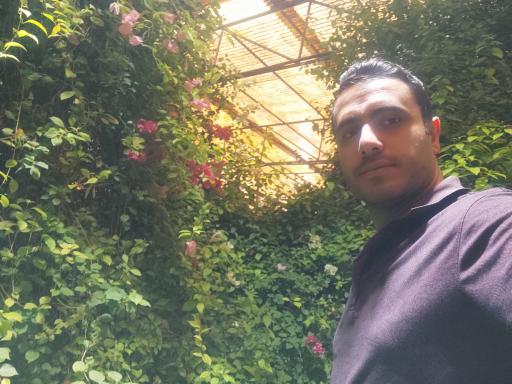 عکس باغ پروانه ها