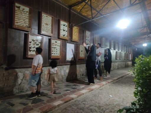 عکس باغ پروانه ها