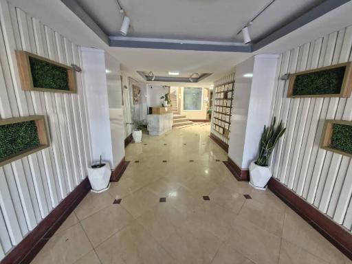 عکس آوا چرم شمال