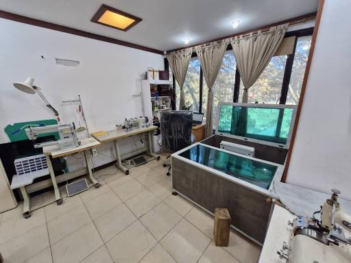 عکس آوا چرم شمال