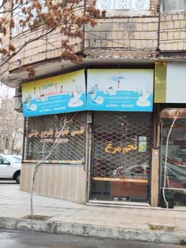 پخش تخم مرغ سلسبیل