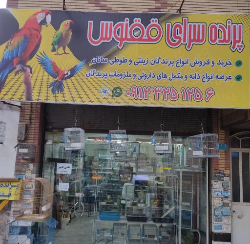 عکس پرنده سرای ققنوس