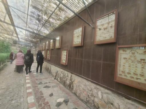 عکس باغ پروانه ها