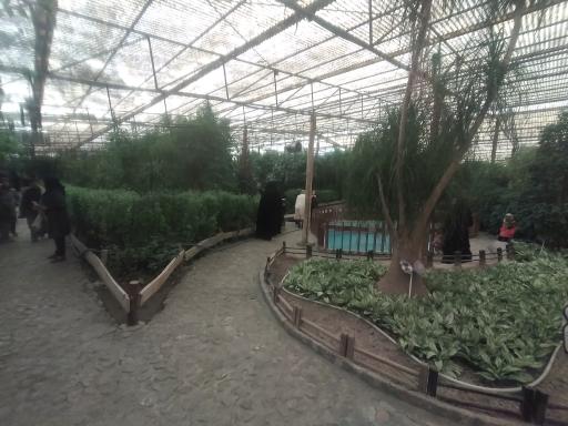 عکس باغ پروانه ها