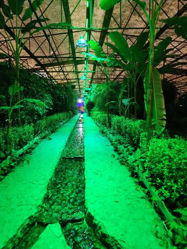 عکس باغ پروانه ها