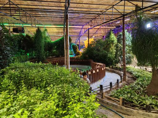 عکس باغ پروانه ها