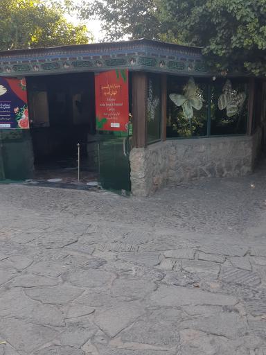 عکس باغ پروانه ها