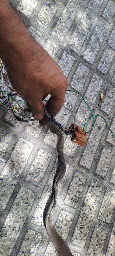عکس باتری سازی مستر ای سی یو