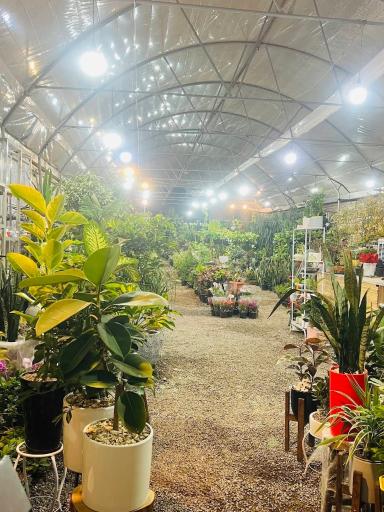 عکس نمایشگاه گل و گیاه و آبزیان