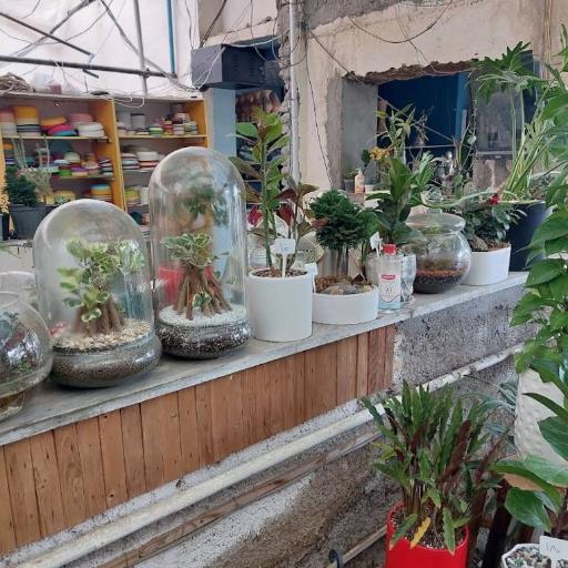 عکس نمایشگاه گل و گیاه و آبزیان