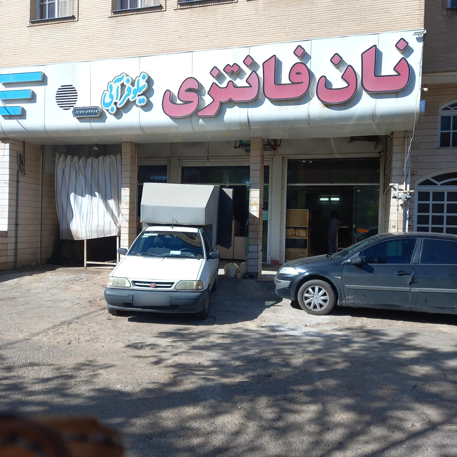 عکس نان فانتزی نیلوفر آبی