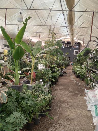 عکس نمایشگاه گل و گیاه و آبزیان