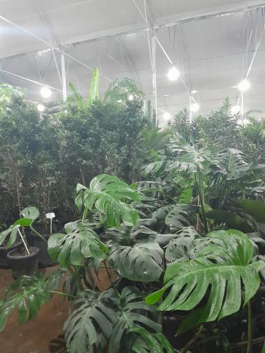 عکس گلخانه پردیس