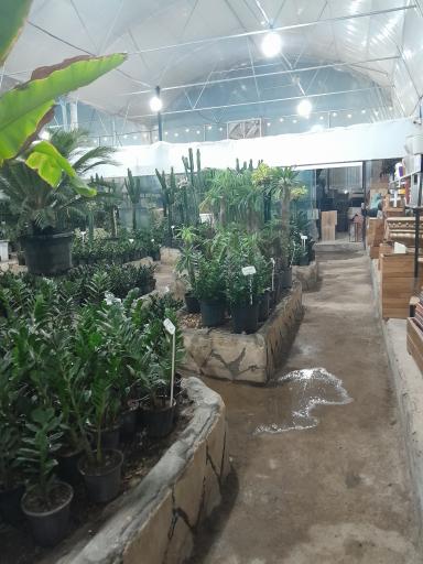 عکس گلخانه پردیس