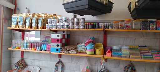 عکس پرنده فروشی و دان پرنده