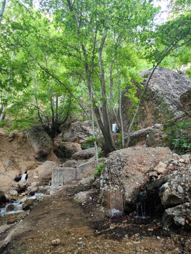 عکس آبشار قلات