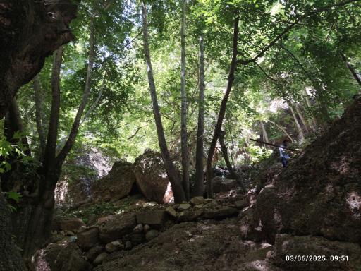 عکس آبشار قلات