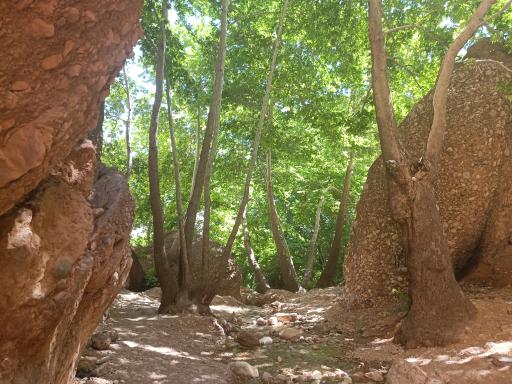 عکس آبشار قلات