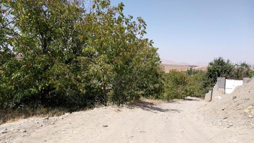 عکس مسجد شاهزاده علی اصغر