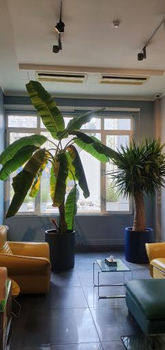 عکس کلینیک گیاه‌پزشکی سدروس