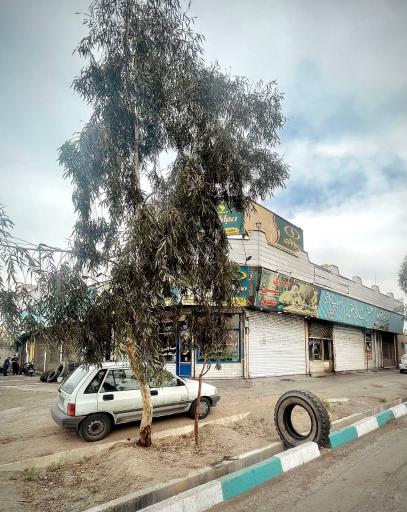 عکس گیوی یدک