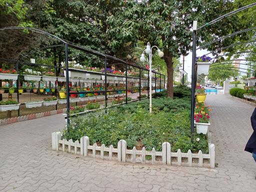 عکس پارک لاله