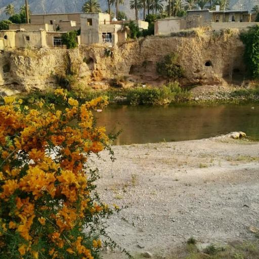 عکس کراده