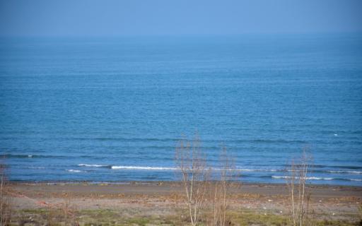 عکس هتل کاج