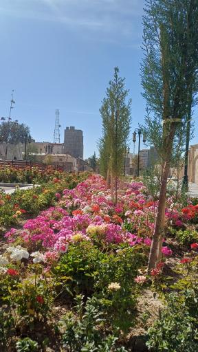 عکس مقبره شیخ رکن الدین اوحدی مراغه ای