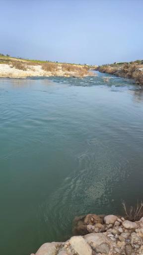 عکس کراده