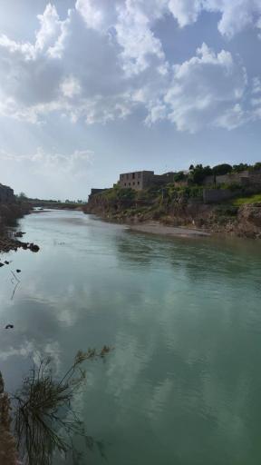 عکس کراده