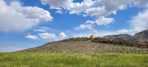 عکس کراده
