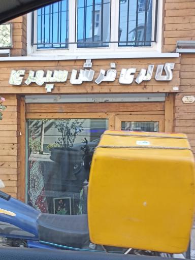 عکس گالری فرش سپهری