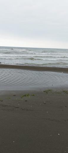 عکس مجتمع اقامتی هما