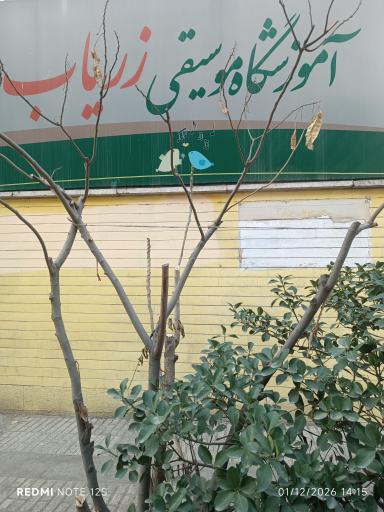 عکس آموزشگاه موسیقی زریاب