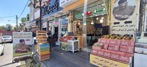 عکس عسل تقی زاده