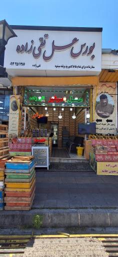 عکس عسل تقی زاده