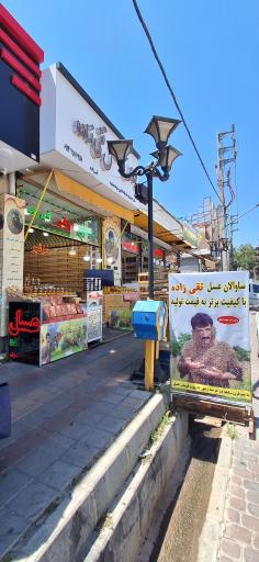 عکس عسل تقی زاده