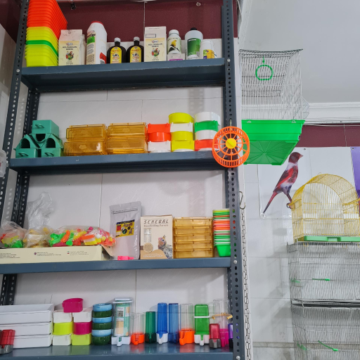 پرنده فروشی مصطفی صادقی 