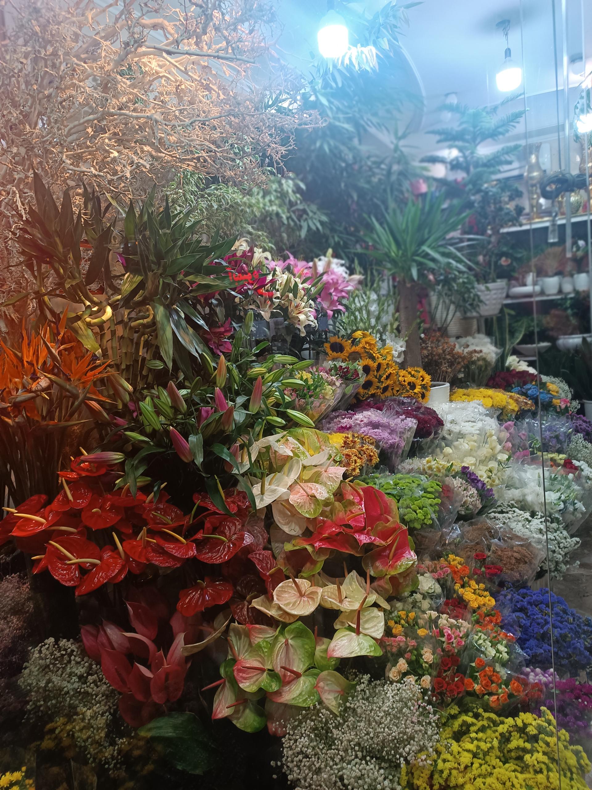 عکس گل فروشی آس