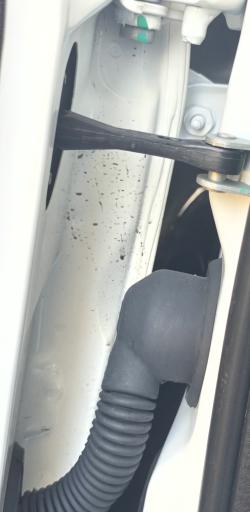 عکس کارواش کارویچ