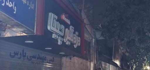 عکس دزدگیر چیتا